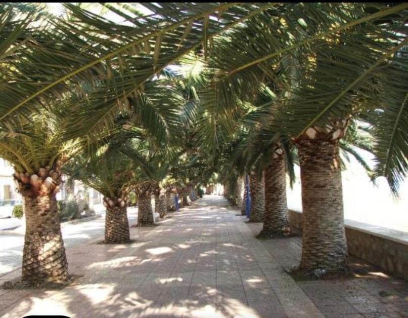 Vcc Home'S El Puerto de Mazarrón Dış mekan fotoğraf